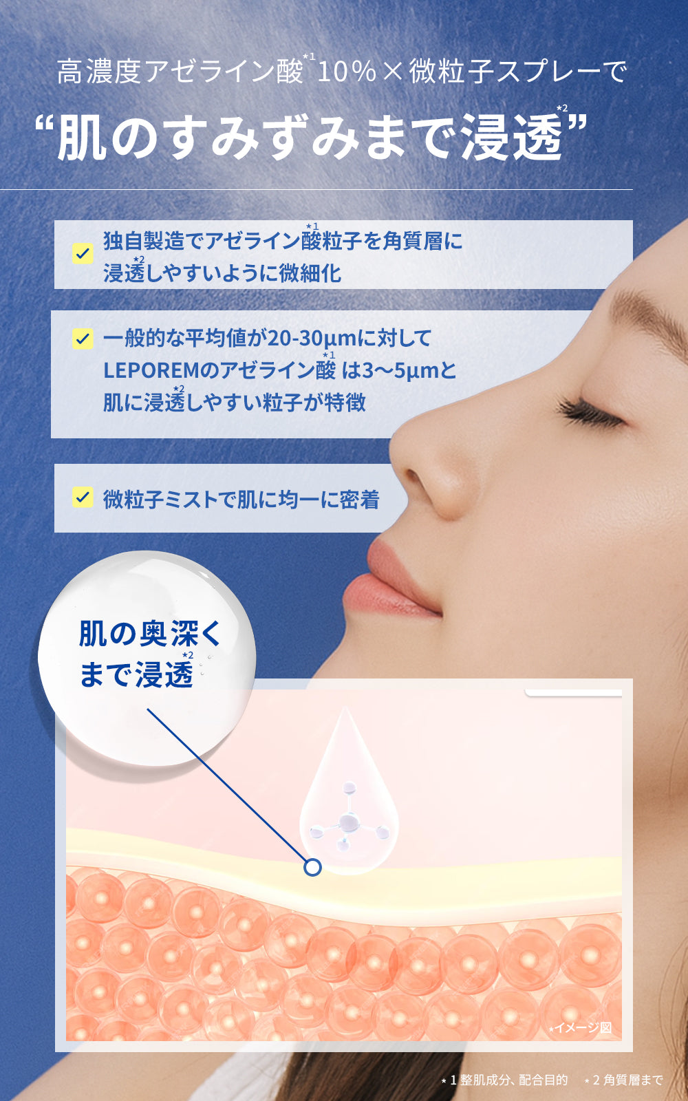 ルポレムA.Cセラム スタンダード（純アゼライン酸10％美容液）